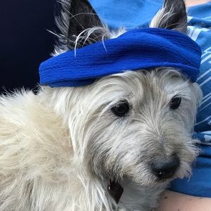 Meet your Posher, Kyle